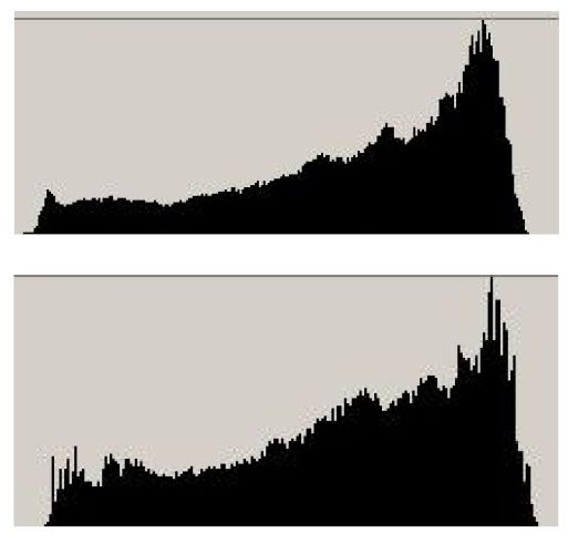 4. Гистограммы цифрового изображения луврской «Моны Лизы» (вверху) и «Айзелуортской Моны Лизы» (внизу) 